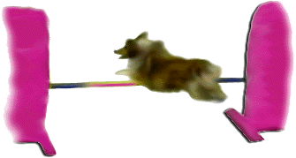jumpsd3.GIF (15986 bytes)