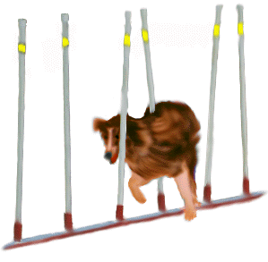 weavebd3.GIF (24006 bytes)